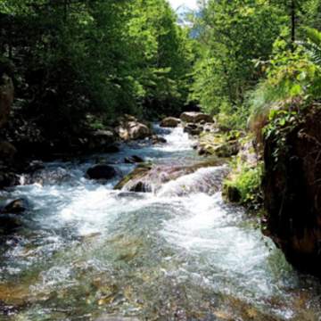 RANDONNÉE AQUATIQUE